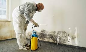 Why You Should Choose Our Mold Remediation Services in Athens, TN