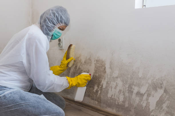 Athens, TN Mold Inspection Company